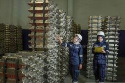 Pegawai PT Timah hina honorer pakai BPJS viral di medos dipecat