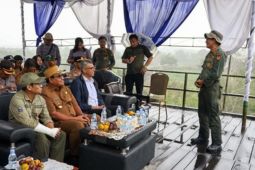 Pemprov Kaltim kaji kelaikan penangkaran rusa  di Kalsel