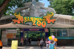 Bandung Zoo Disegel, Pemkot Bandung Jamin Karyawan Aman