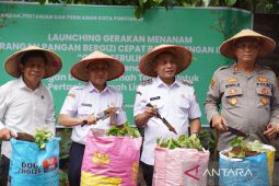 Pemkot Pontianak terus maksimalkan produksi sebagai sentra sayuran di Kalbar
