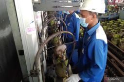 Bali minta verifikasi ulang data kuota Elpiji 3 kg