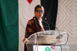 Pelapor PBB sebut 680.000 warga Gaza tewas, 75 persennya perempuan dan anak