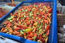 PIHPS catat harga cabai rawit merah Rp55.000/kg, bawang merah Rp32.950/kg pada Jumat