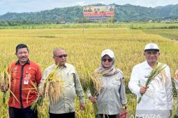 BSIP Gorontalo berkomitmen tingkatkan produktivitas  pertanian
