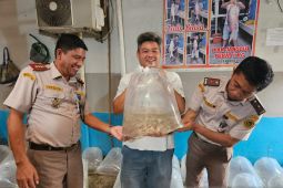 Jambi kirim 1,43 juta ikan seluang ke berbagai kota