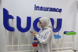 Analis menyarankan saham berfundamental solid di tengah tekanan pasar