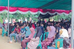 PT Timah libatkan warga Dusun Tanah Merah menambang timah