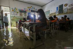 1.481 guru di Bengkulu terima tunjang profesi