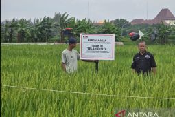 KPK sita empat properti senilai Rp22 miliar terkait korupsi lahan di Rorotan