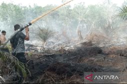 BPBD Aceh Barat padamkan kebakaran lahan gambut