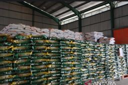 Bulog Samarinda pastikan stok beras aman  untuk program MBG