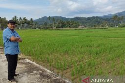 Dewan Kesenian apresiasi "On The Spot" seni Lukis Kalsel