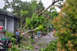 BMKG : Waspada cuaca buruk di delapan wilayah di  Maluku hingga 14 Februari 2025