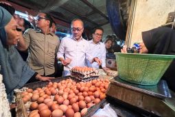 Minggu ini, harga bawang merah Rp37.350kg dan telur ayam Rp29.950/kg