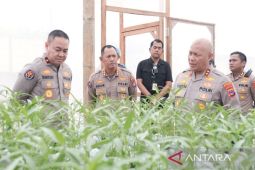 Mabes Polri ingin "greenhouse" Polda Kalsel dicontoh