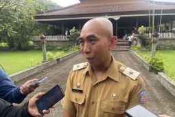 Pemda Bali turunkan target PAD 2025 buntut opsen pajak
