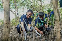 PT PAL jaga pesisir pantai Surabaya dari abrasi dengan tanam ratusan bibit mangrove