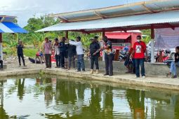 DPMK Mimika: Pemerintah kampung kembangkan BUMDes