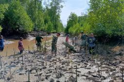 TNI dan warga Berau mitigasi iklim  melalui penanaman mangrove