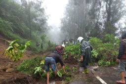 Akses dari Malang menuju Gunung Bromo terputus akibat longsor
