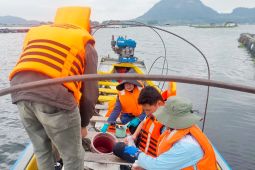 KKP selidiki 100 ton ikan mati massal Waduk Jatiluhur