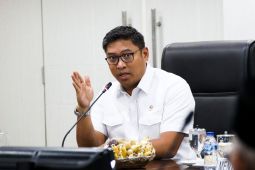 Wamentan: HPP gabah Rp6.500/kg komitmen Presiden sejahterakan petani dan pencapaian swasembada