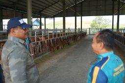 Pj Gubernur: Pembibitan sapi unggul khas Aceh perlu dikembangkan