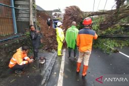 BPBD Bali minta warga ekstra waspada bencana pada sasih kawulu