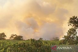 Aceh Barat padamkan kebakaran lahan di lokasi baru