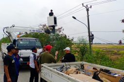 Pemkab Tangerang targetkan pasang 1.486 PJU pada 2025