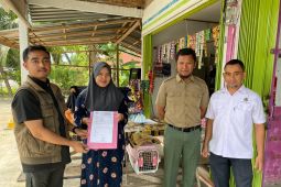 BKSDA Sumbar terima seekor Kukang dari warga Agam