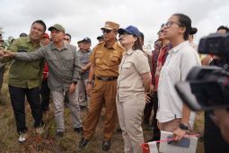 Prof. Stella Christie tinjau lokasi pembangunan SMA Unggul Garuda di Belitung Timur