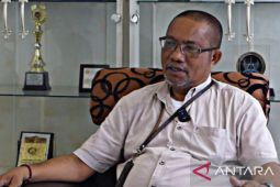 Akademisi: Singkong jadi pilihan pengganti beras untuk ketahanan pangan Maluku