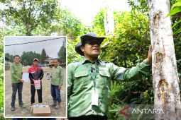 TPL berkomitmen lestarikan kemenyan di Tapanuli