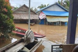 Sebagian wilayah Kalbar aman dari potensi banjir