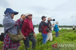 BTN Kutai lakukan sensus burung air di wilayah Bontang-Kutim