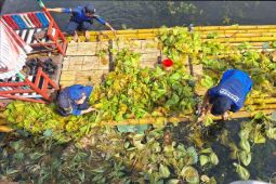 Pemkab Garut turunkan tim tangani eceng gondok di Situ Bagendit