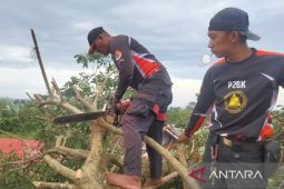 70 kejadian bencana landa Sukabumi sepanjang Januari 2025