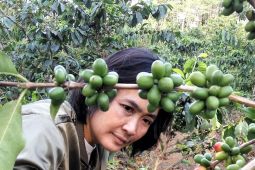 BNI dorong UMKM kopi asal Garut swasembada pangan dan "go global"