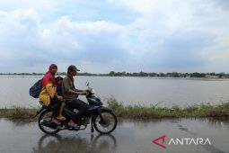 Dinas Pertanian Bekasi mitigasi cegah dampak hujan genangi areal persawahan