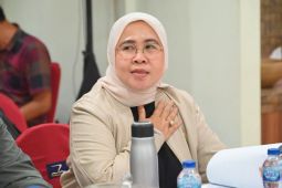 Anggota DPR: Aturan turunan UU Kepariwisataan perlu segera disusun