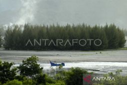 Unpatti Ambon gencarkan kajian pengelolaan hutan di pulau kecil