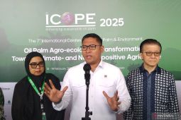 Pemerintah tekankan produktivitas sawit dukung program prioritas