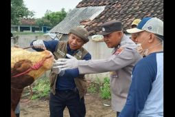 Pemkab Lumajang terima 34.500 dosis vaksin PMK