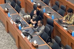 Ekonom ingatkan pemerintah hati-hati soal pajak