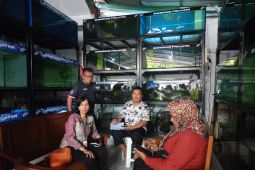 DKI Jakarta perkuat pengawasan  jual-beli ikan predator di Jakarta