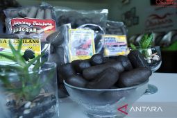 Diskop UKM Kutim jadikan amplang batubara sebagai cemilan khas