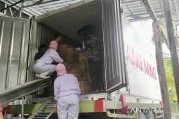 Karantina Kalsel periksa 12,6 ton udang beku ekspor ke Jepang