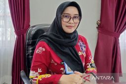 UMK Barito Selatan 2025 sebesar Rp3,8 juta