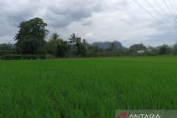 TNI dan Pemprov Sulsel kuatkan koordinasi swasembada pangan